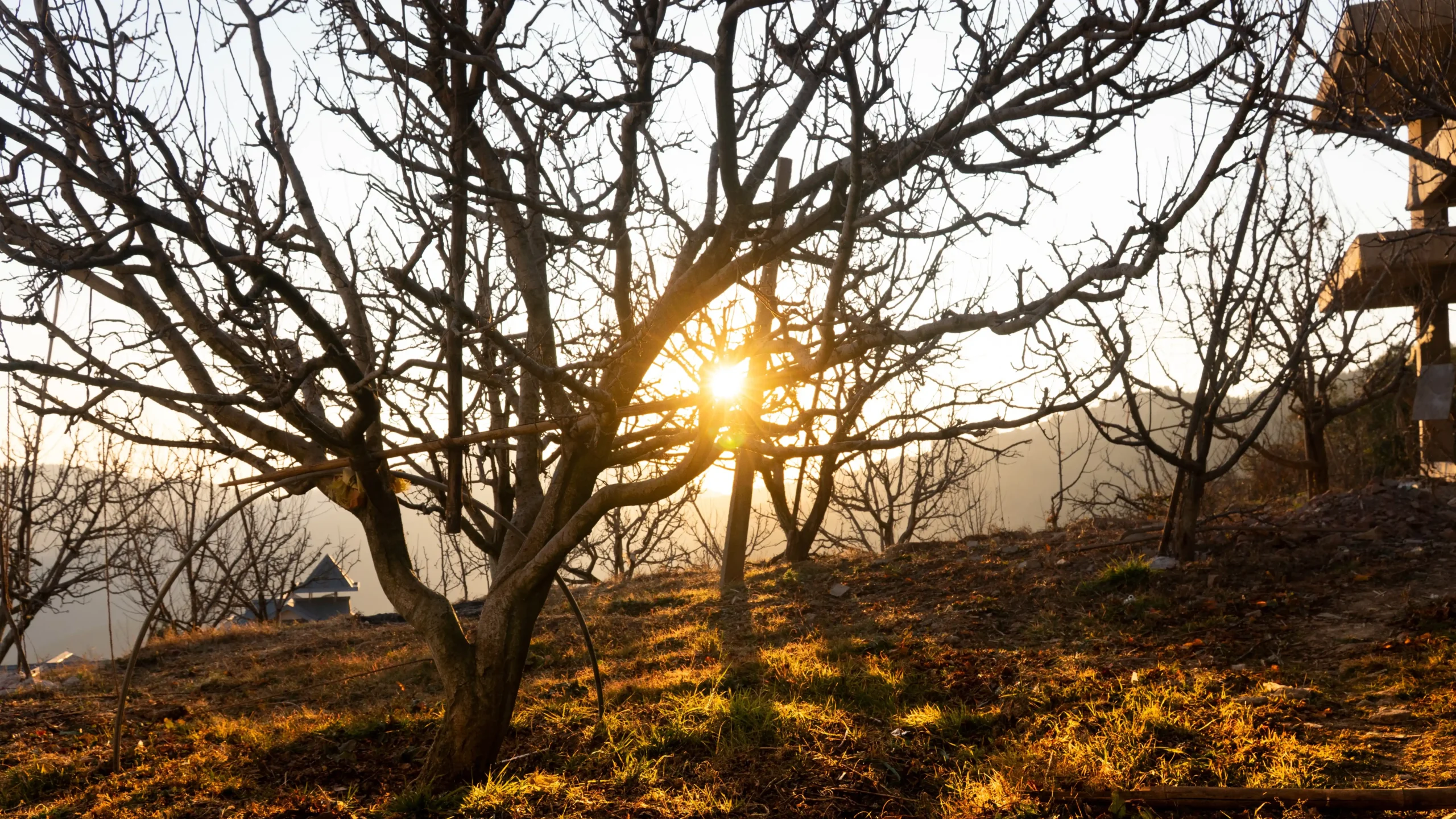 orchard_villa_outdoor (5)